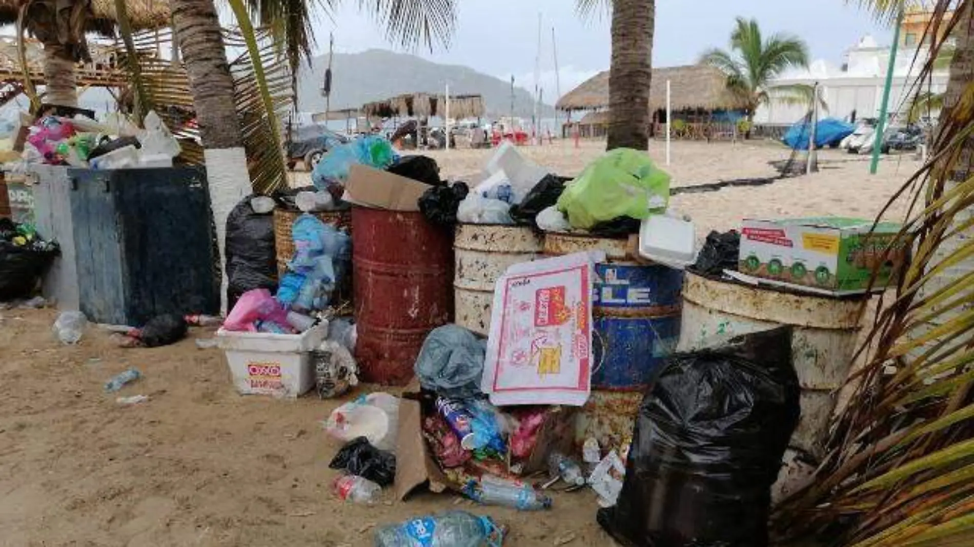 basura - contamina - playa